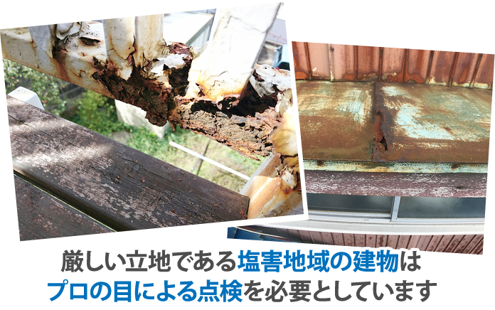 厳しい立地である塩害地域の建物はプロの目による点検を必要としています