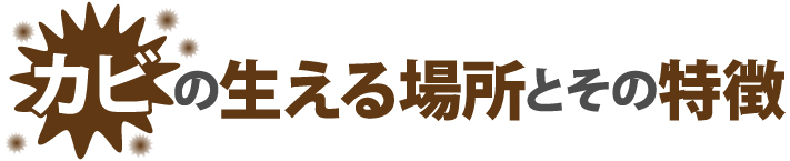 カビの生える場所とその特徴