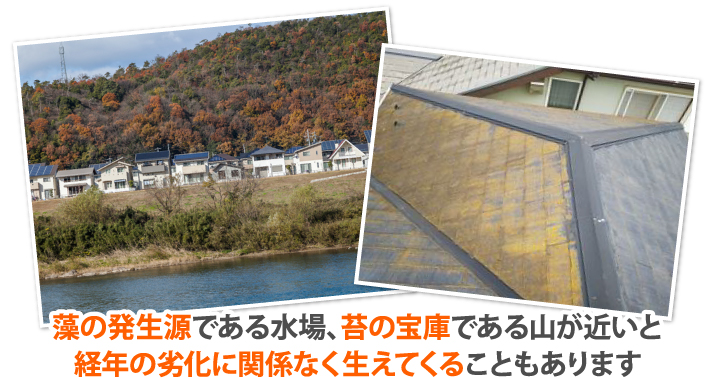 藻の発生源である水場、苔の宝庫である山が近いと経年の劣化に関係なく生えてくることもあります