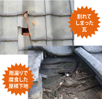 割れてしまった瓦/雨漏りで腐食した屋根下地