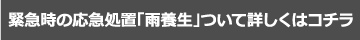 緊急時の応急処置「雨養生」ついて詳しくはコチラ