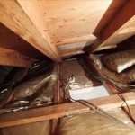 大田区　シロアリ調査　屋根裏点検