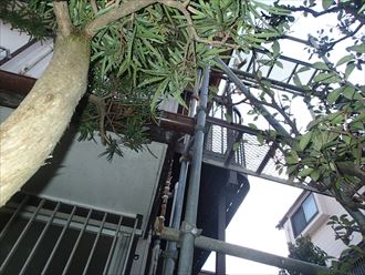 船橋市軒天工事004