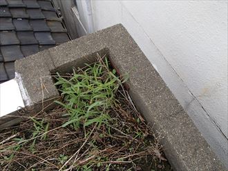 屋上の雨漏り調査　足立区　排水口つまり