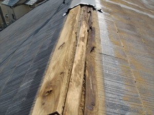 棟板金木材劣化