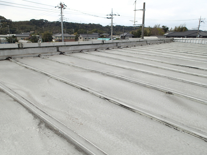 屋根の全体状態