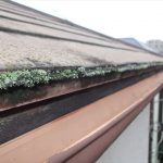 江戸川区にて屋根の雨漏り調査