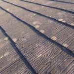 スレート瓦コケ状況