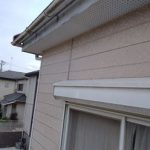 点検チェック項目