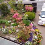 お客様の綺麗なお庭