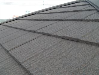 エコグラーニによる屋根カバー