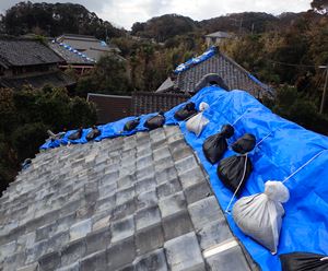 台風の影響