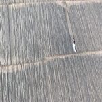 パミールの不具合