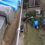 雨樋の詰まり