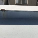 立ち上がりの塗膜剥がれ