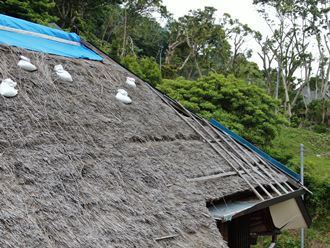 茅葺屋根