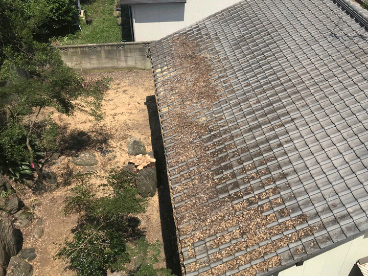 雨樋に葉や土が溜まる