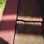 日陰部分カビ・苔