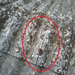 千葉市稲げく　棟スレートに亀裂