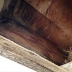 印旛郡酒々井町　軒天剥がれ・雨染み