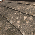 素地が見えている