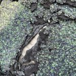 シングル材劣化