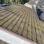 屋根北面には苔が多く発生