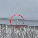 棟板金の釘浮き
