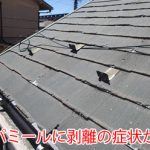 パミールの剥離が起きています