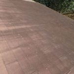 佐倉市　苔の発生