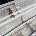 市原市　屋根材の傷み