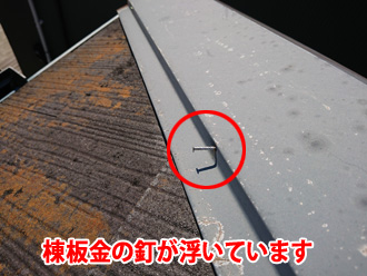 棟板金の釘が浮いています