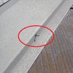 八街市　釘浮き