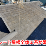 スレート屋根全体に繁殖した苔