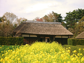 茅葺屋根