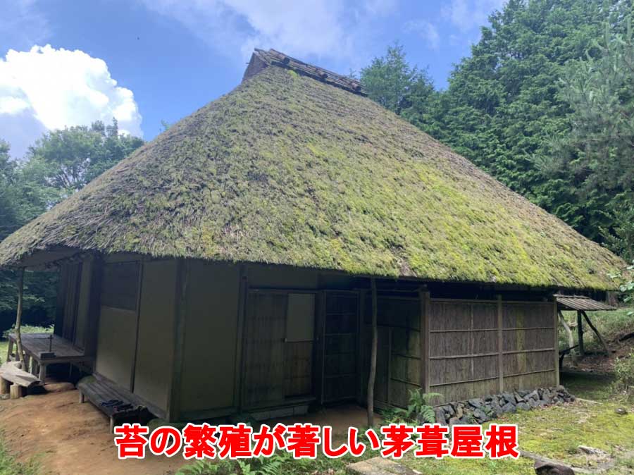 苔が繁殖した茅葺屋根