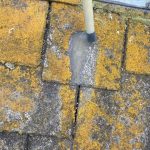 苔だらけの屋根