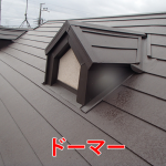 ドーマー
