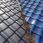 木更津市　屋根調査