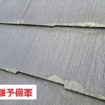 パミール　剥離予備軍