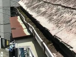 ゴミなどが滞留した雨樋