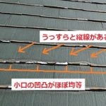 パミール　見分け