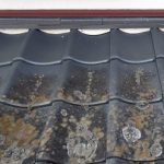 下屋根　苔（コケ）