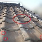 凍害　凍て割れ