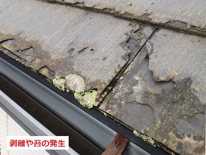 屋根材の剥がれ　苔