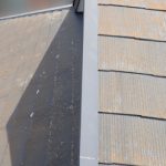 苔（コケ）発生