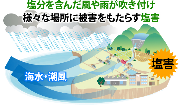 塩害は塩分を含んだ風や雨が吹き付け、様々な場所に被害をもたらします。