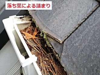 雨樋の詰まり原因　落ち葉