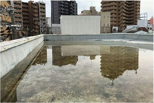 屋上の水たまり