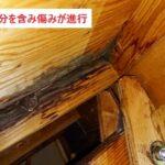 雨漏り箇所